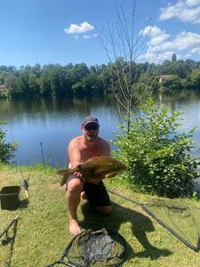 Common Bream