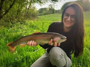 Rainbow Trout