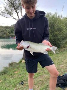 Largemouth Bass