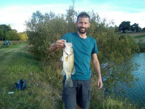 Largemouth Bass