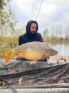 Mirror Carp