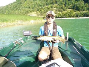 Northern Pike