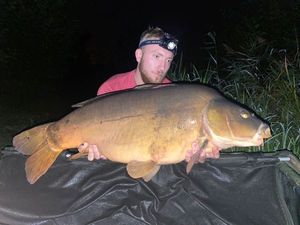 Mirror Carp