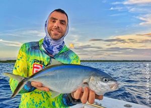 Blue Runner