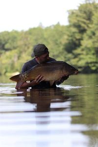 Mirror Carp