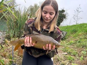 Common Carp