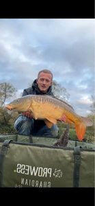 Mirror Carp