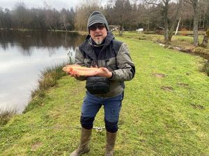 Rainbow Trout