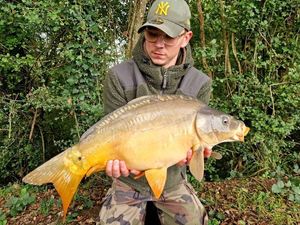 Mirror Carp