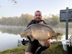 Mirror Carp