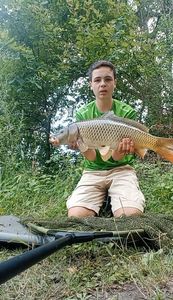 Common Carp