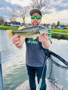 Largemouth Bass