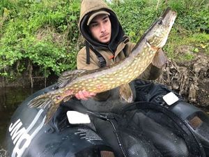 Northern Pike