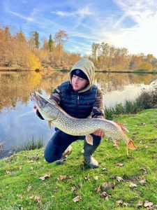 Northern Pike