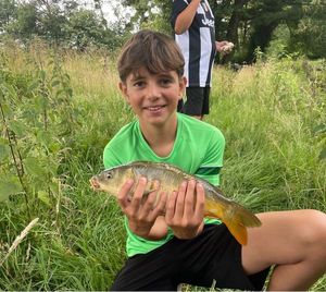 Mirror Carp