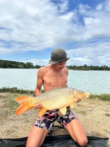 Common Carp