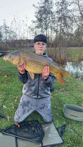 Common Carp
