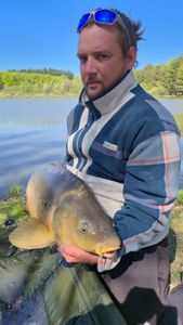 Mirror Carp