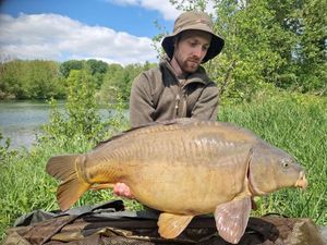 Mirror Carp