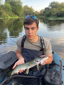 Northern Pike