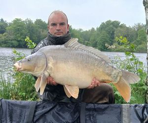Mirror Carp