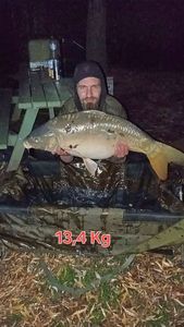 Mirror Carp