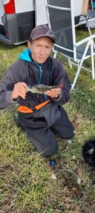 European Perch