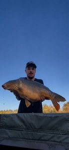 Mirror Carp