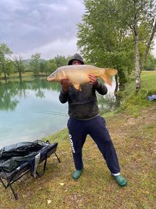 Leather Carp