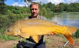 Mirror Carp