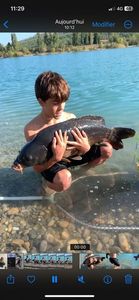 Mirror Carp