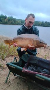 Mirror Carp
