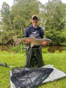 Grass Carp
