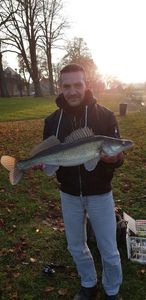 Zander