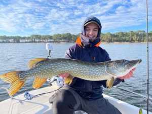 Northern Pike