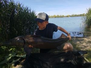 Sturgeon
