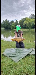 Mirror Carp