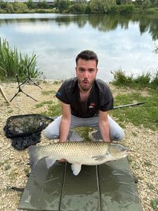 Grass Carp