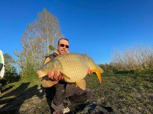 Common Carp