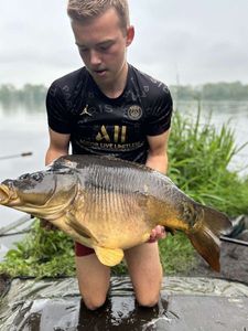 Mirror Carp