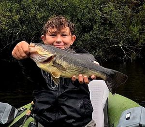 Largemouth Bass