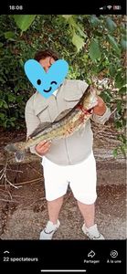Zander