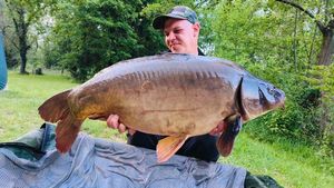 Mirror Carp
