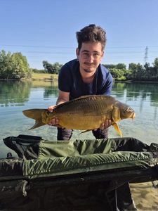 Mirror Carp