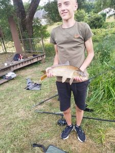 Common Carp