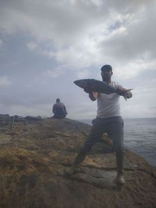 Skipjack Tuna