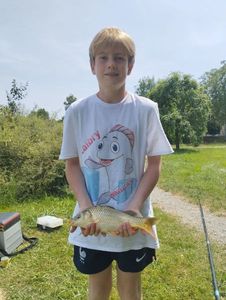 Mirror Carp