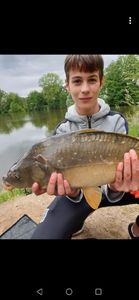 Mirror Carp