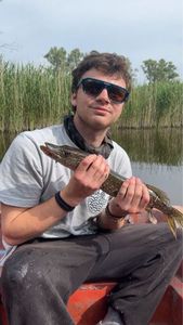 Northern Pike