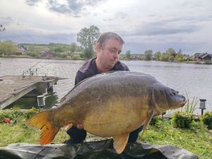 Mirror Carp